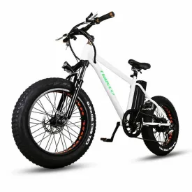 Nakto Cruiser Mini 36V/10Ah 300W Fat Tire Electric Bike